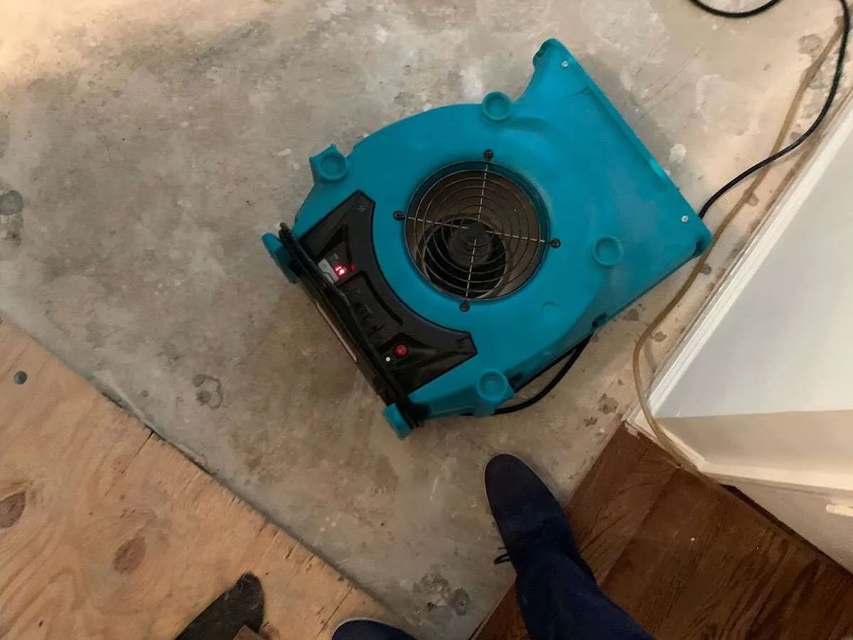Air mover drying subfloor during Commercial Water Damage Restoration in Loxley